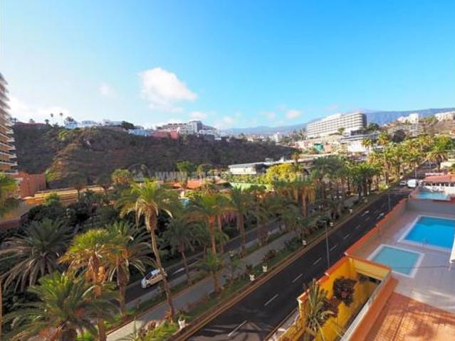 Estudio Alquiler Puerto de la Cruz, Zona Martiánez