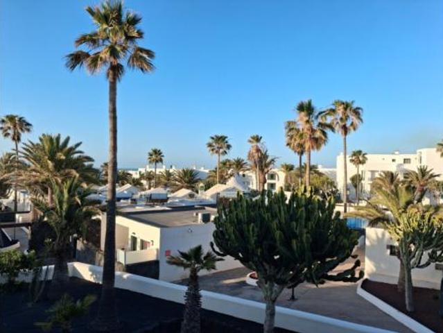 Estudio Alquiler Teguise, Costa Teguise