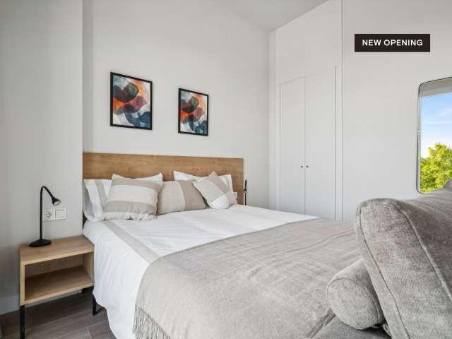 Estudio completo en Madrid