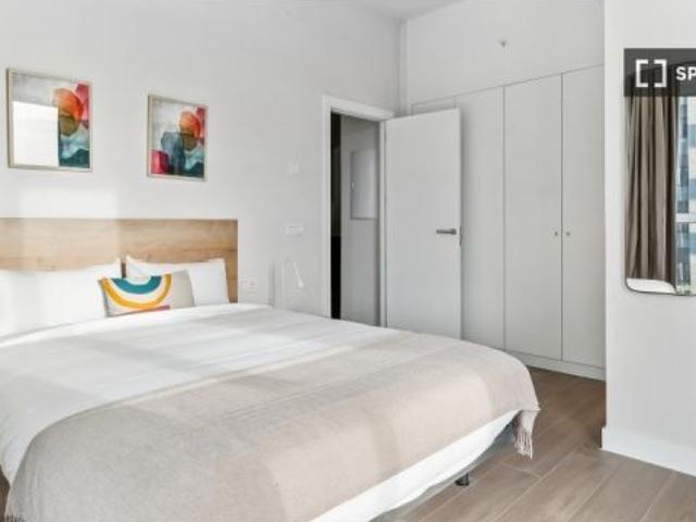 Estudio completo en Madrid