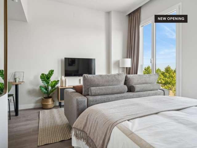 Estudio completo en Madrid