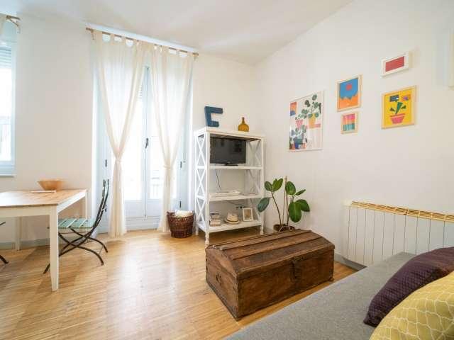 Estudio en alquiler en Madrid Centro