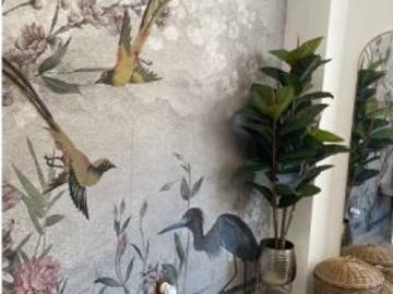 Estudio en alquiler en Oviedo, con todos los gastos incluidos