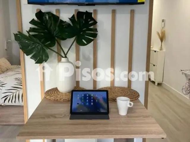 Estudio en alquiler en Avenida Alcalde Paco Gonzalez