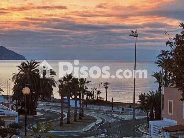 Estudio en alquiler en Avenida de Cabo Cope, 1