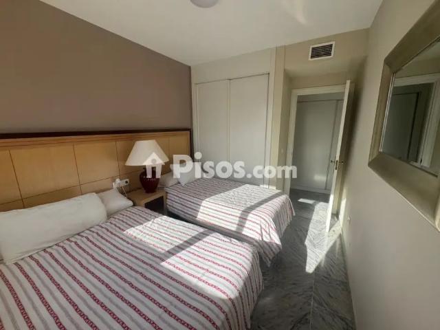 Estudio en alquiler en Avenida de las Petunias, 10