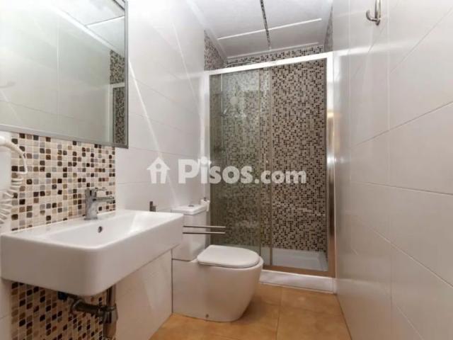 Estudio en alquiler en Apartamento/Estudio en Alicante Centro
