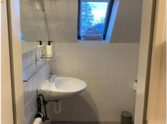 Estudio en alquiler en Berlín, todos los gastos incluidos, se admiten mascotas