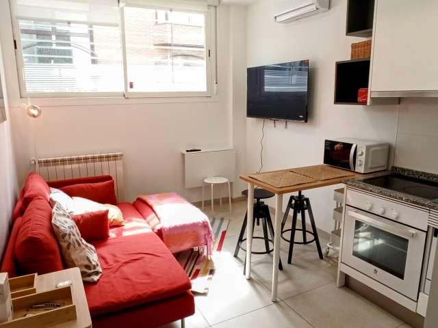 Estudio en alquiler en Berruguete, Madrid