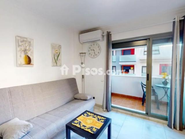 Estudio en alquiler en Calle Antonio Sedeño Cantos