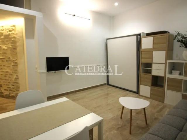 Estudio en alquiler en Calle de los Tintes