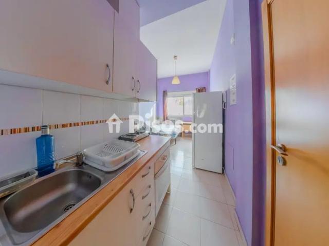 Estudio en alquiler en Calle del Rosario de La Ñora, cerca de Calle de la Corredera de La Ñora