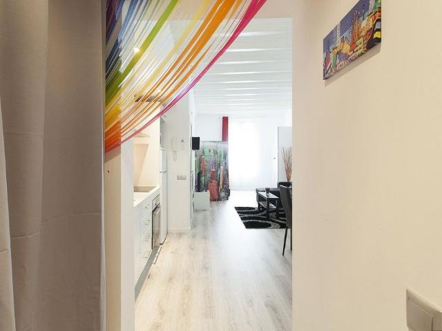 Estudio en alquiler en calle D'en Roig, Barcelona, de 46 m² por 1.095