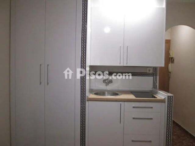 Estudio en alquiler en Calle Doctor Guirao Gea