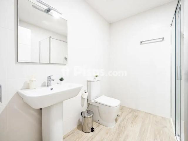 Estudio en alquiler en Calle Rosarito