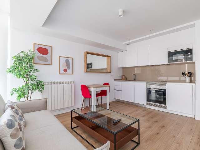 Estudio en alquiler en Castillejos, Madrid