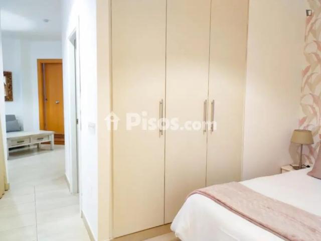 Estudio en alquiler en Centro