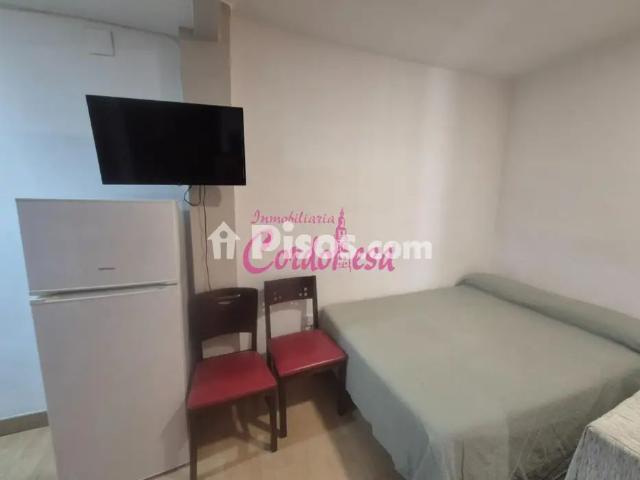 Estudio en alquiler en Centro