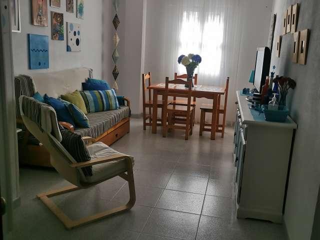 Estudio en alquiler en Conil de la Frontera