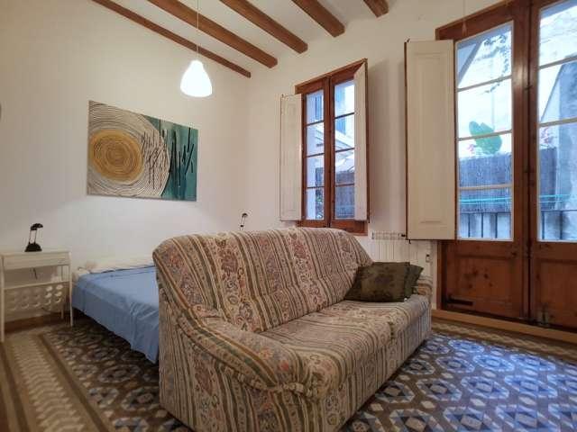 Estudio en alquiler en El Gòtic, Barcelona