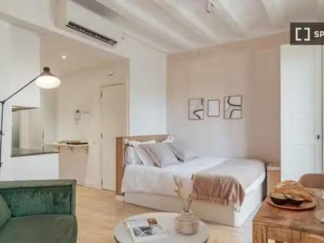 Estudio en alquiler en El Gòtic, Barcelona