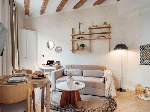 Estudio en alquiler en El Gòtic, Barcelona