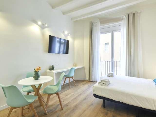 Estudio en alquiler en El Raval, Barcelona
