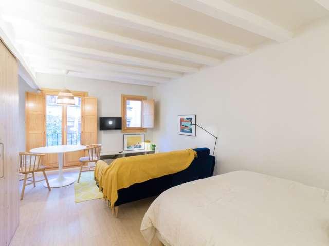 Estudio en alquiler en El Raval, Barcelona