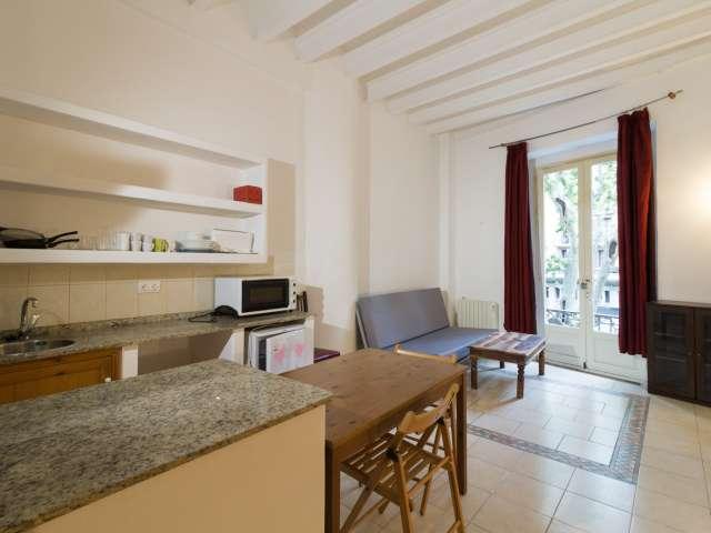 Estudio en alquiler en El Raval, Barcelona