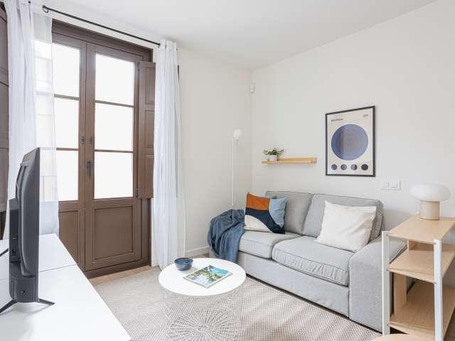 Estudio en alquiler en El Raval, Barcelona