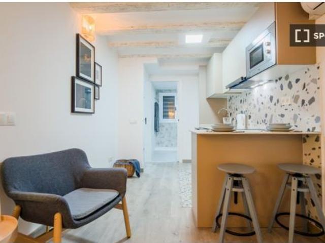 Estudio en alquiler en El Raval