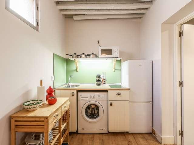 Estudio en alquiler en Embajadores, Madrid