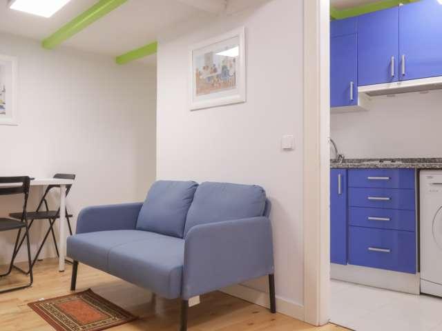 Estudio en alquiler en Embajadores, Madrid