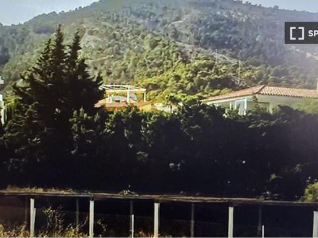 Estudio en alquiler en L' Alfàs Del Pi, se admiten mascotas