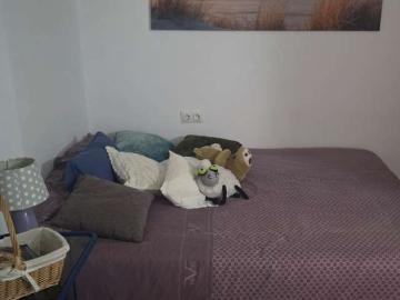 Estudio en alquiler en La Malagueta, Málaga