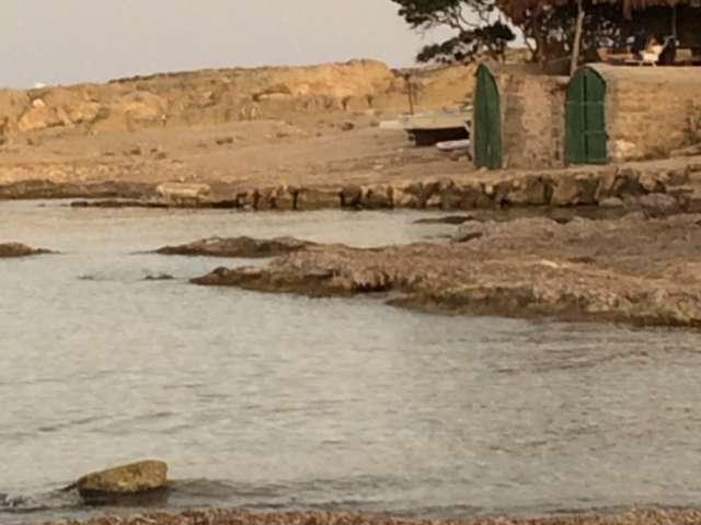Estudio en alquiler en Llucmajor, Mallorca