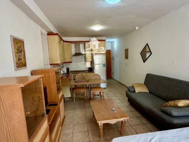 Estudio en alquiler en Puerto Colon, Playa de Las Américas