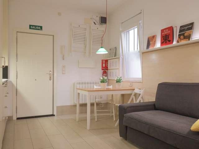 Estudio en alquiler en Palacio, Madrid