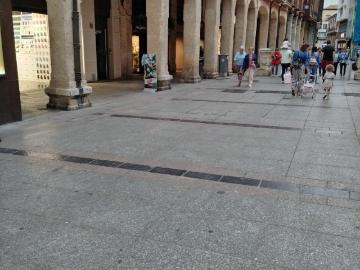 Ave María, Palencia, Eras del Rosal, Palencia, Castilla y León, Castilla y León