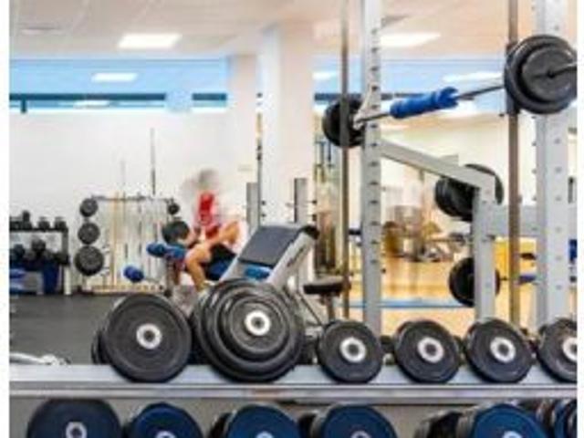 Estudio en alquiler en Pedro Salvador Las Palmeritas, Sevilla solo para estudiantes