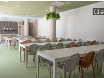 Estudio en alquiler en residencia en Getafe