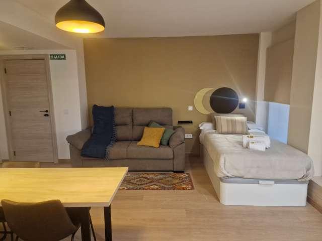 Estudio en alquiler en San Vicente del Raspeig, Alicante