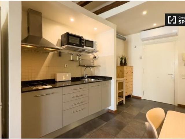Estudio en alquiler en Sant Pere Santa Caterina i la Ribera