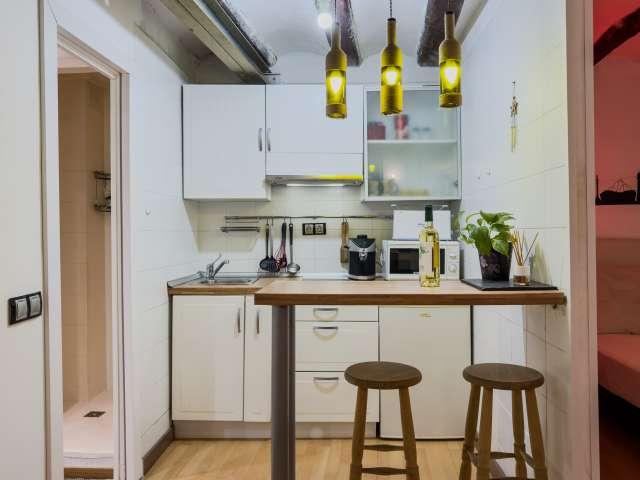 Estudio en alquiler en Sant Pere Santa Caterina i la Ribera