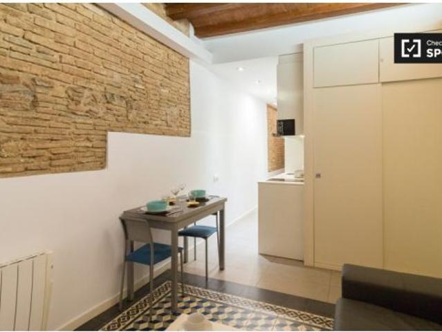 Estudio en alquiler en Sant Pere Santa Caterina i la Ribera, todos los gastos incluidos