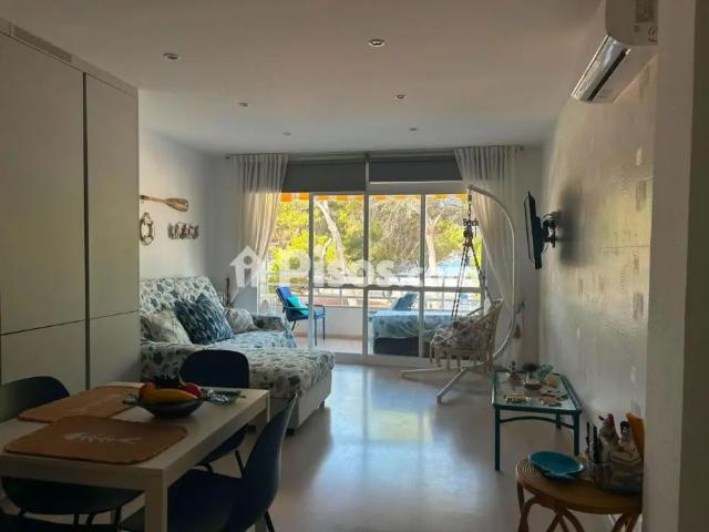 Estudio en alquiler en Santa Ponça