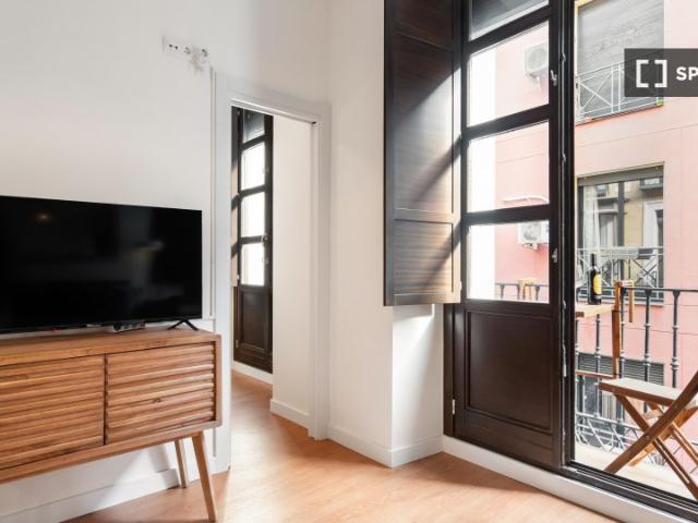 Apartamento de 1 dormitorio en alquiler en Universidad, Madrid
