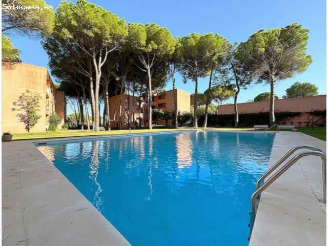 ESTUDIO EN PALS CON PISCINA Y LA PLAYA A DOS MINUTOS LEER 2 OPCIONES