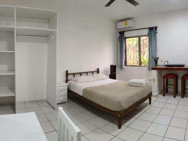 Estudio En Renta En El Centro De Playa Del Carmen