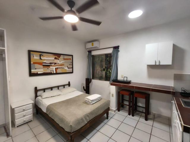 Estudio En Renta En El Centro De Playa Del Carmen